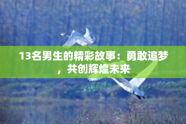 13名男生的精彩故事：勇敢追梦，共创辉煌未来
