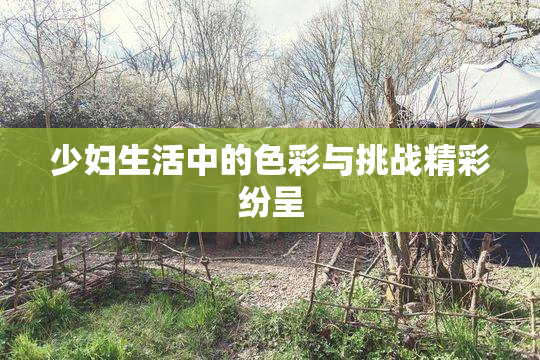 少妇生活中的色彩与挑战精彩纷呈