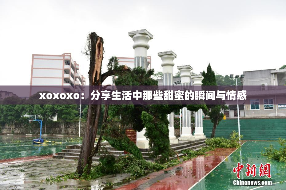 xoxoxo：分享生活中那些甜蜜的瞬间与情感