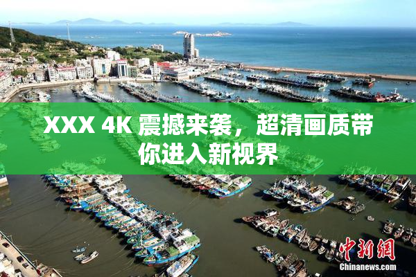 XXX 4K 震撼来袭，超清画质带你进入新视界