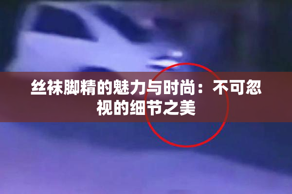 丝袜脚精的魅力与时尚：不可忽视的细节之美