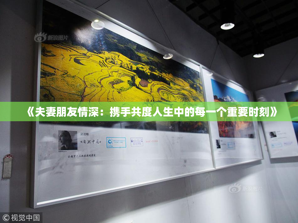 《夫妻朋友情深：携手共度人生中的每一个重要时刻》