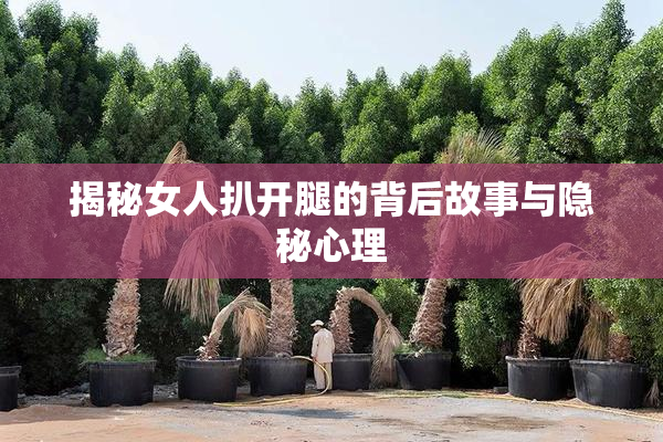 揭秘女人扒开腿的背后故事与隐秘心理