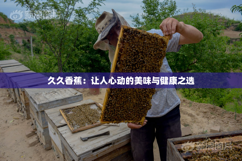 久久香蕉：让人心动的美味与健康之选
