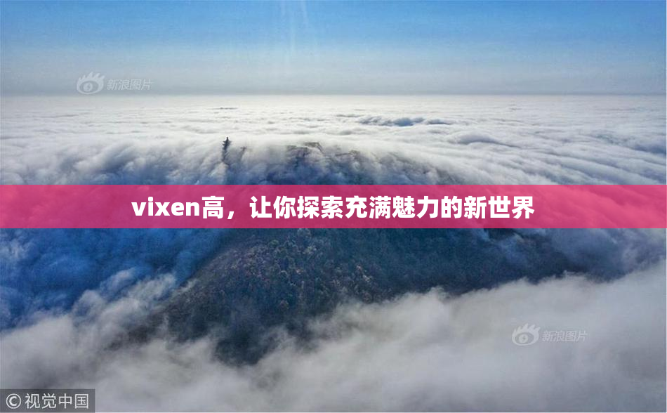 vixen高，让你探索充满魅力的新世界