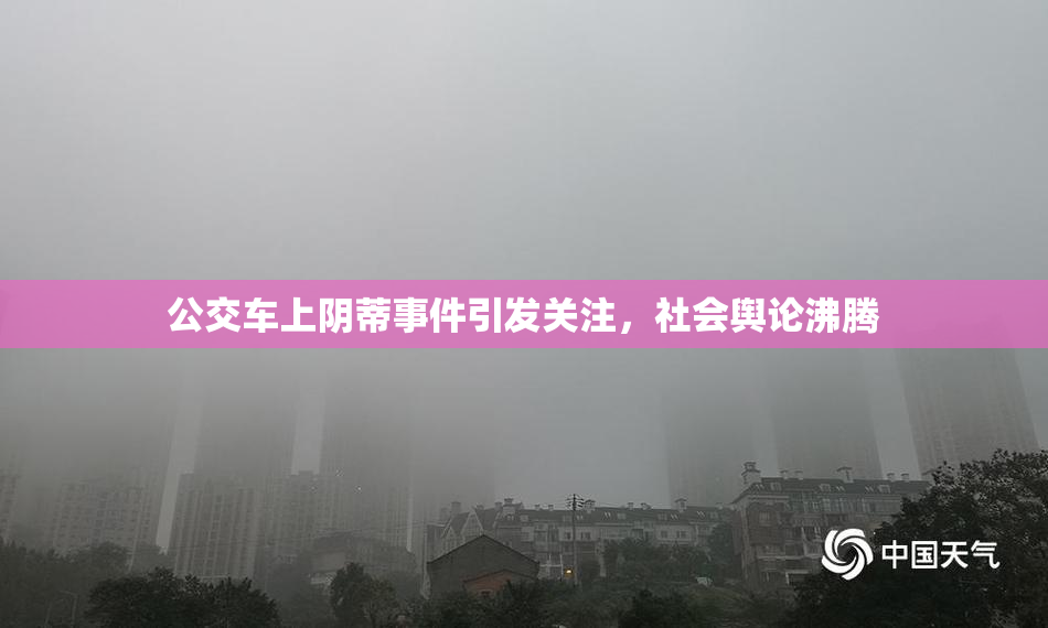 公交车上阴蒂事件引发关注，社会舆论沸腾
