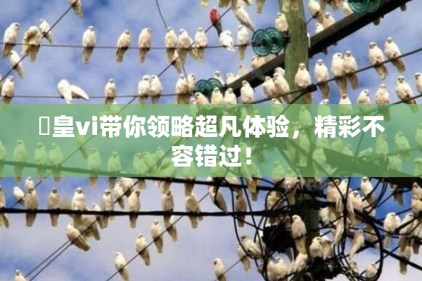 嘼皇vi带你领略超凡体验，精彩不容错过！
