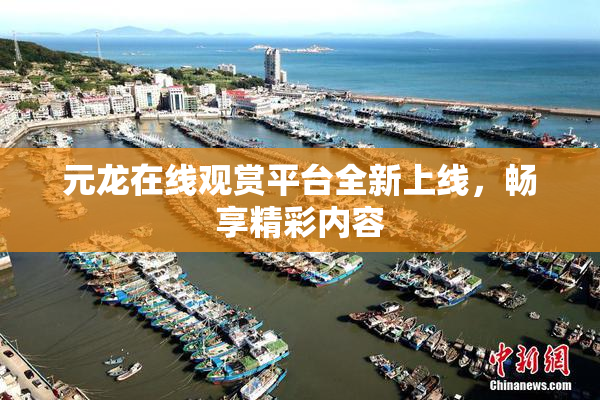 元龙在线观赏平台全新上线，畅享精彩内容