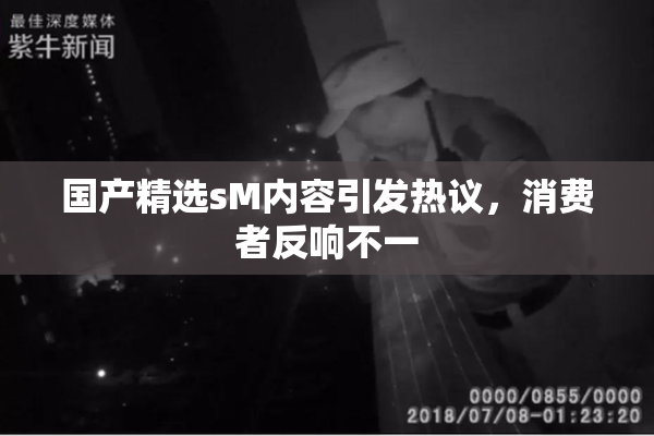 国产精选sM内容引发热议，消费者反响不一