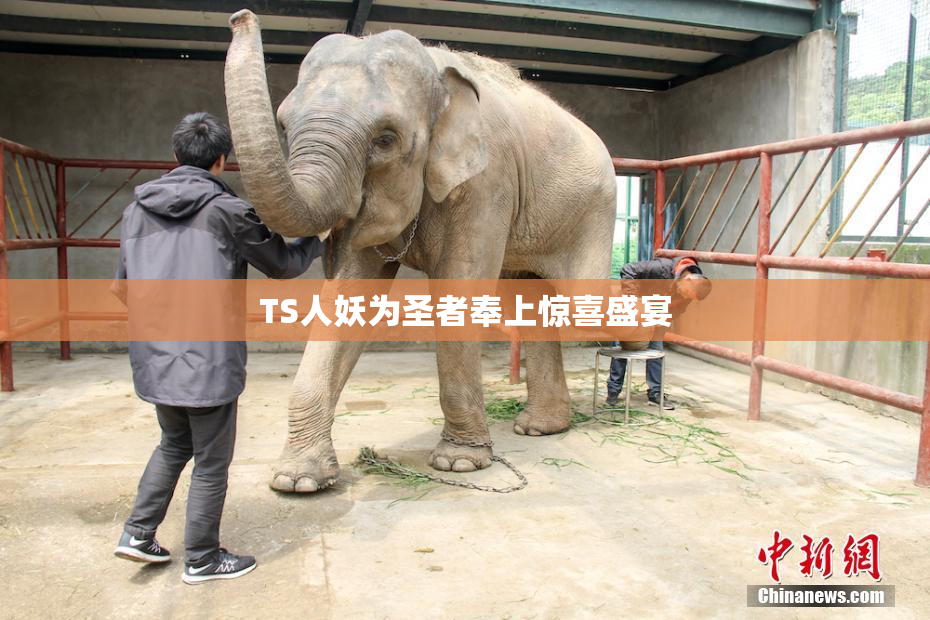 TS人妖为圣者奉上惊喜盛宴