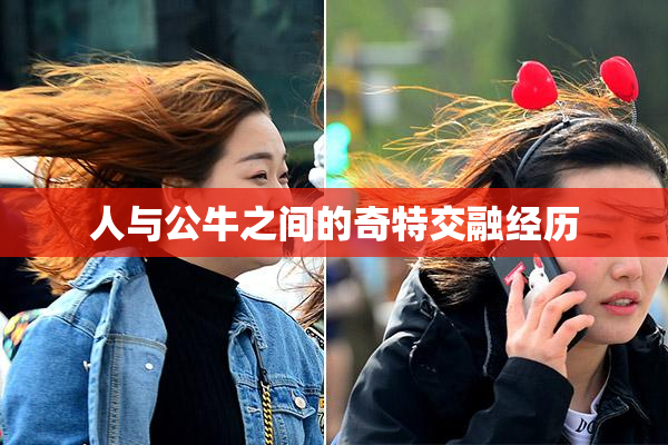 人与公牛之间的奇特交融经历
