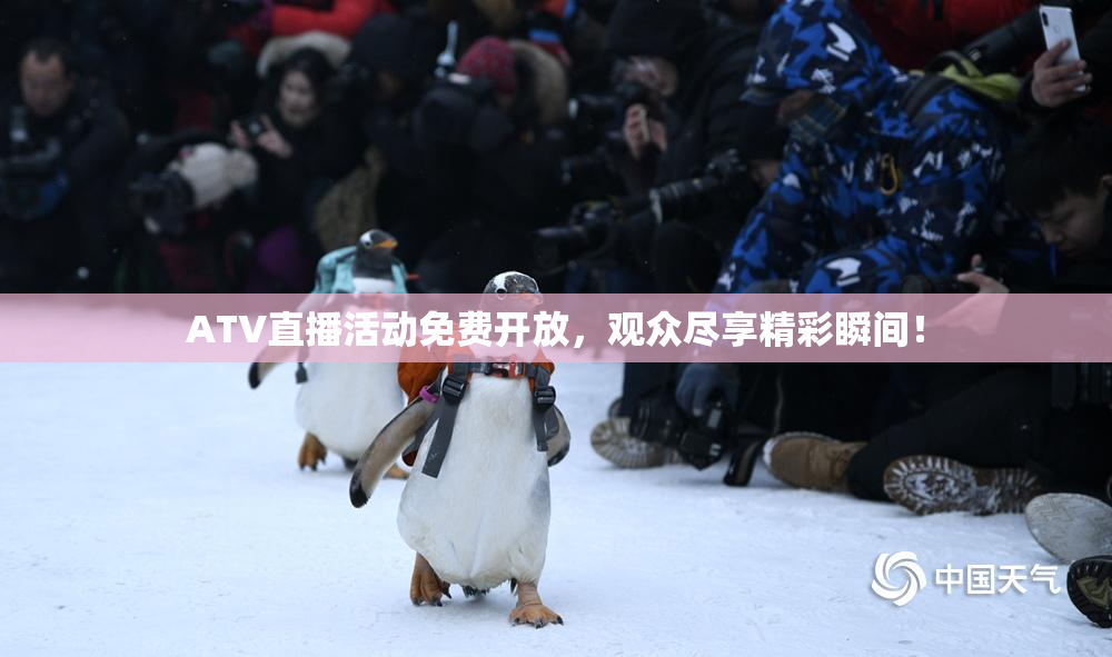 ATV直播活动免费开放，观众尽享精彩瞬间！