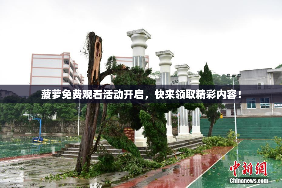 菠萝免费观看活动开启，快来领取精彩内容！
