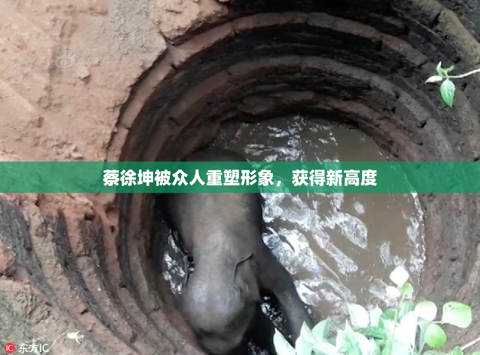 蔡徐坤被众人重塑形象，获得新高度