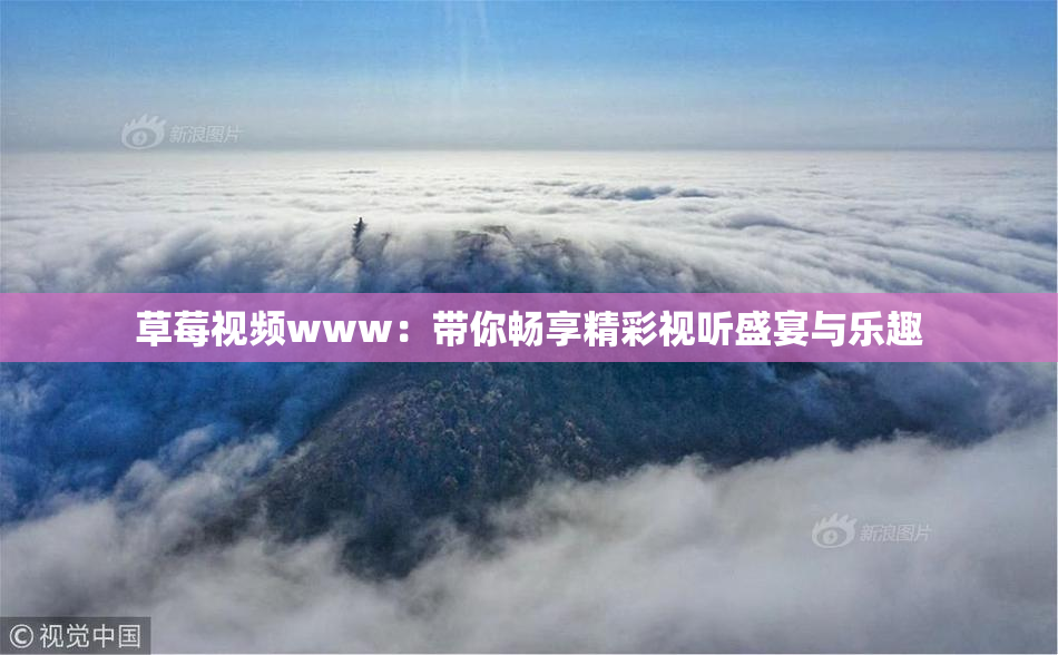草莓视频www：带你畅享精彩视听盛宴与乐趣