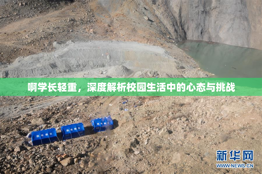 啊学长轻重，深度解析校园生活中的心态与挑战