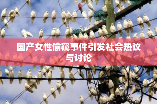 国产女性偷窥事件引发社会热议与讨论