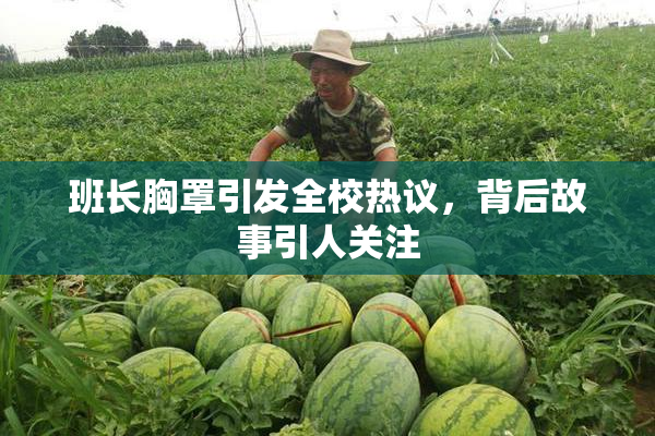 班长胸罩引发全校热议，背后故事引人关注