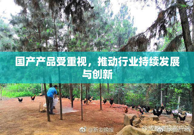 国产产品受重视，推动行业持续发展与创新