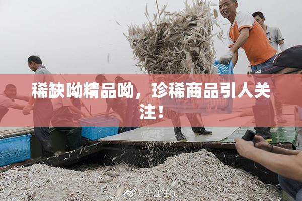 稀缺呦精品呦，珍稀商品引人关注！