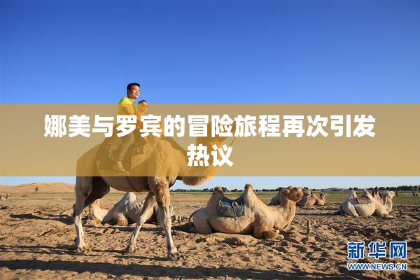 娜美与罗宾的冒险旅程再次引发热议