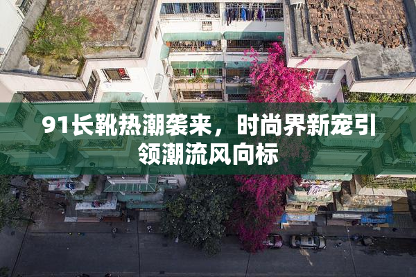 91长靴热潮袭来，时尚界新宠引领潮流风向标
