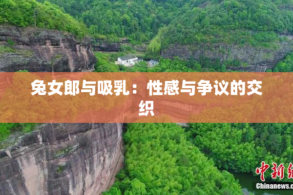兔女郎与吸乳：性感与争议的交织