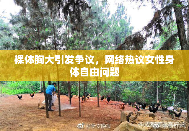 裸体胸大引发争议，网络热议女性身体自由问题