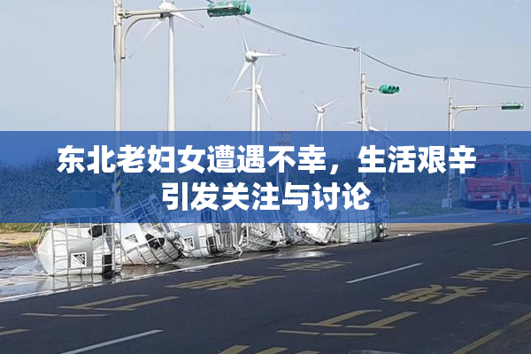 东北老妇女遭遇不幸，生活艰辛引发关注与讨论