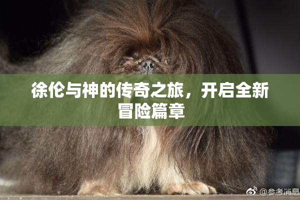 徐伦与神的传奇之旅，开启全新冒险篇章
