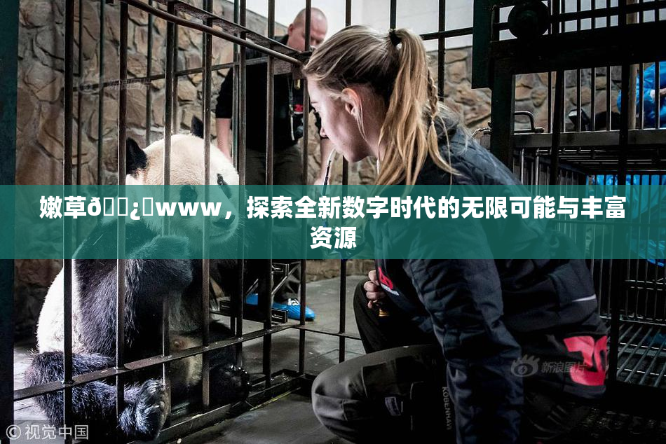 嫩草🌿‌www，探索全新数字时代的无限可能与丰富资源