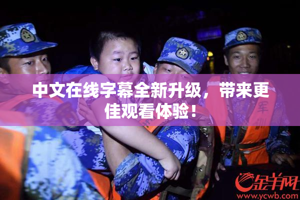 中文在线字幕全新升级，带来更佳观看体验！