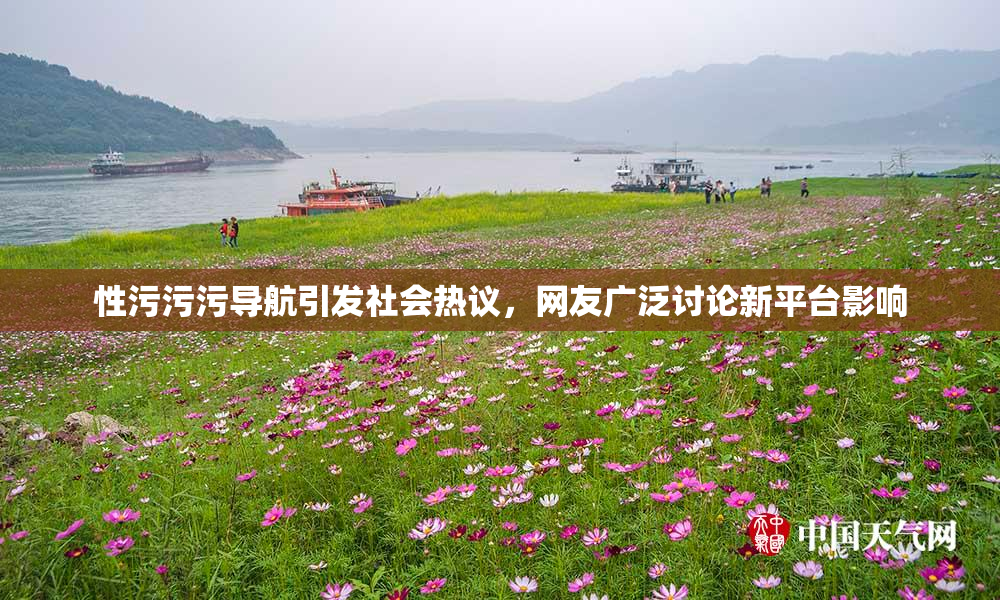 性污污污导航引发社会热议，网友广泛讨论新平台影响