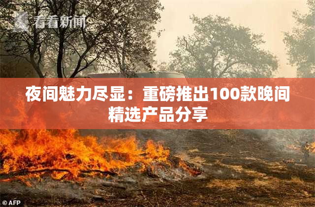 夜间魅力尽显：重磅推出100款晚间精选产品分享