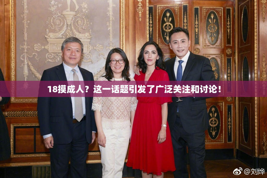 18摸成人？这一话题引发了广泛关注和讨论！
