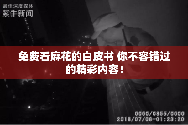 免费看麻花的白皮书 你不容错过的精彩内容！