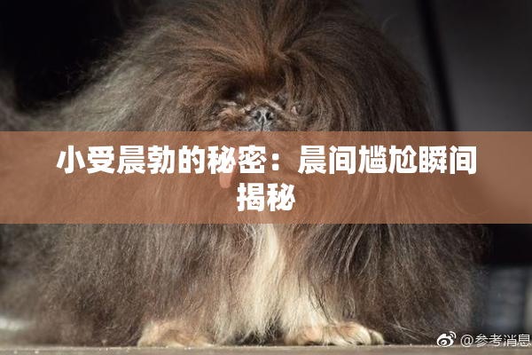 小受晨勃的秘密：晨间尴尬瞬间揭秘