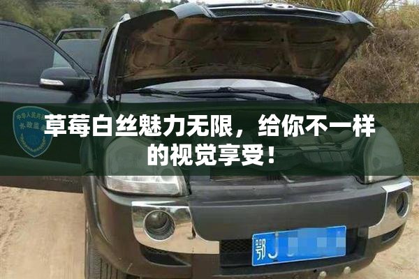 草莓白丝魅力无限，给你不一样的视觉享受！