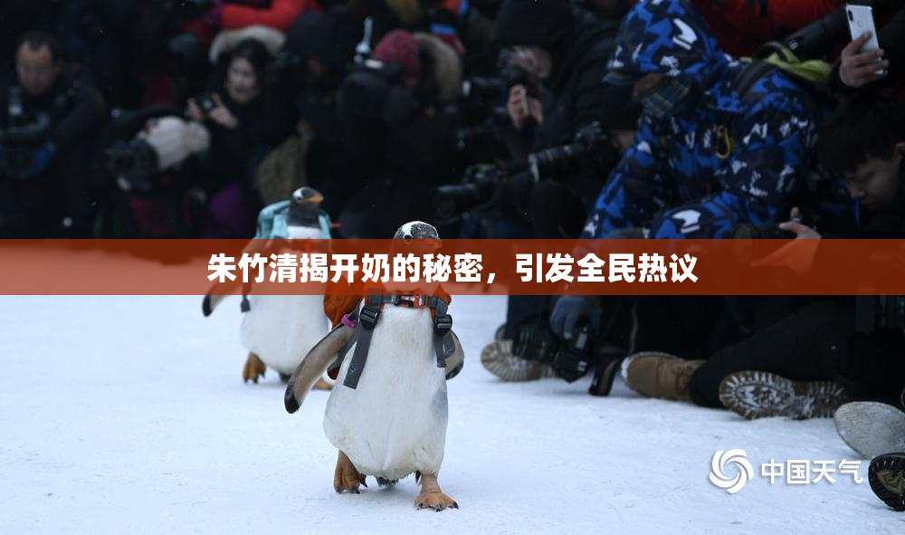 朱竹清揭开奶的秘密，引发全民热议