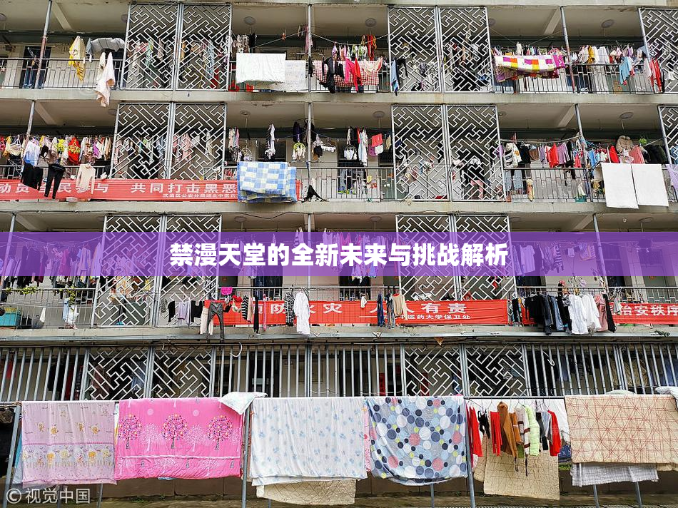 禁漫天堂的全新未来与挑战解析