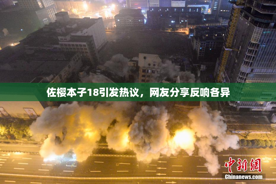 佐樱本子18引发热议，网友分享反响各异