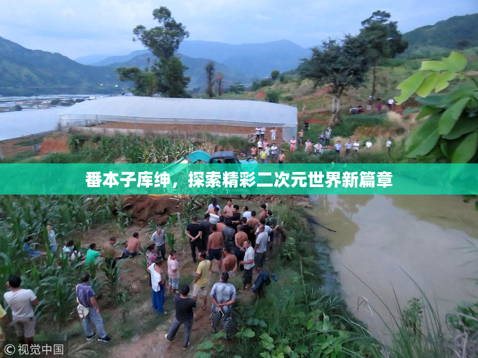 番本子库绅，探索精彩二次元世界新篇章