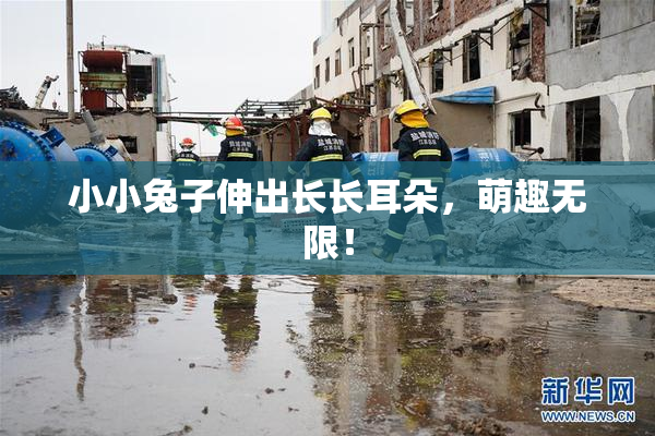 小小兔子伸出长长耳朵，萌趣无限！