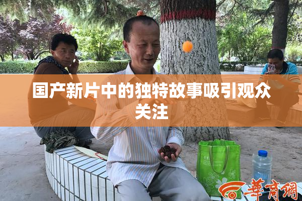 国产新片中的独特故事吸引观众关注