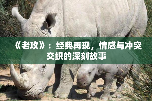 《老攻》：经典再现，情感与冲突交织的深刻故事