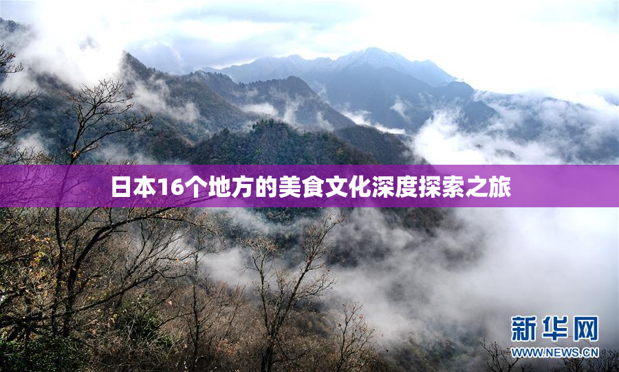 日本16个地方的美食文化深度探索之旅