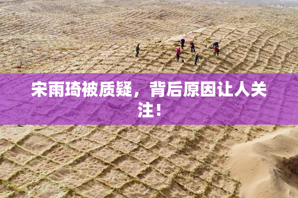 宋雨琦被质疑，背后原因让人关注！