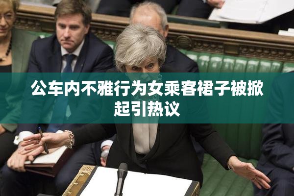 公车内不雅行为女乘客裙子被掀起引热议