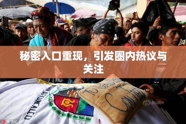 秘密入口重现，引发圈内热议与关注