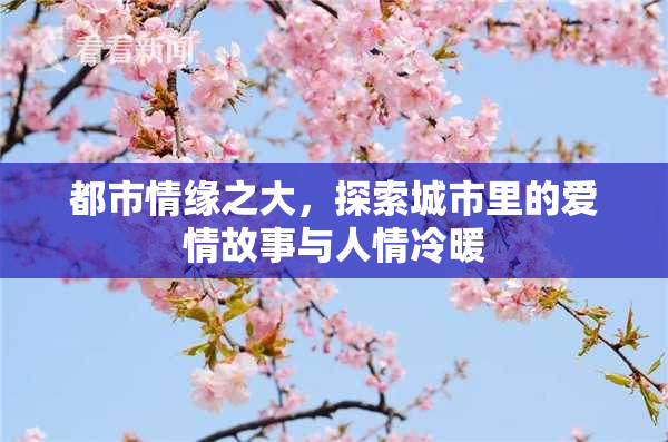 都市情缘之大，探索城市里的爱情故事与人情冷暖